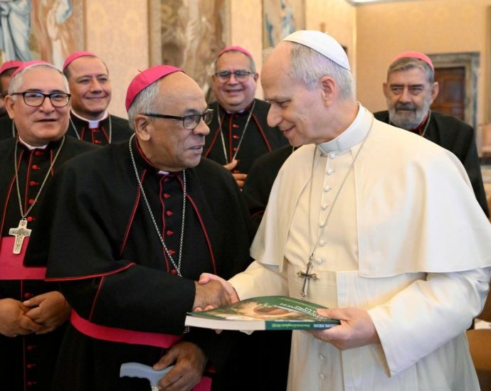 COMUNHÃO VIVA: PAPA ENCONTROU BISPOS DO PERU