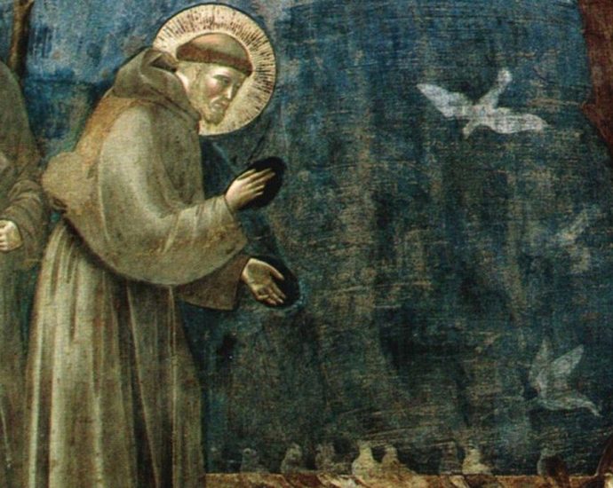 PAZ: VIVER A PAZ EM TEMPOS DE CONFLITO