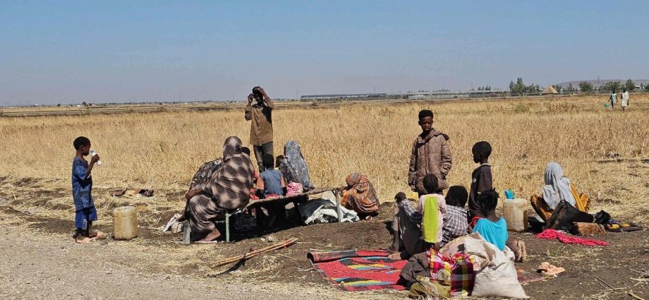 SITUAÇÃO NO SUDÃO: VIOLÊNCIA E SEUS IMPACTOS