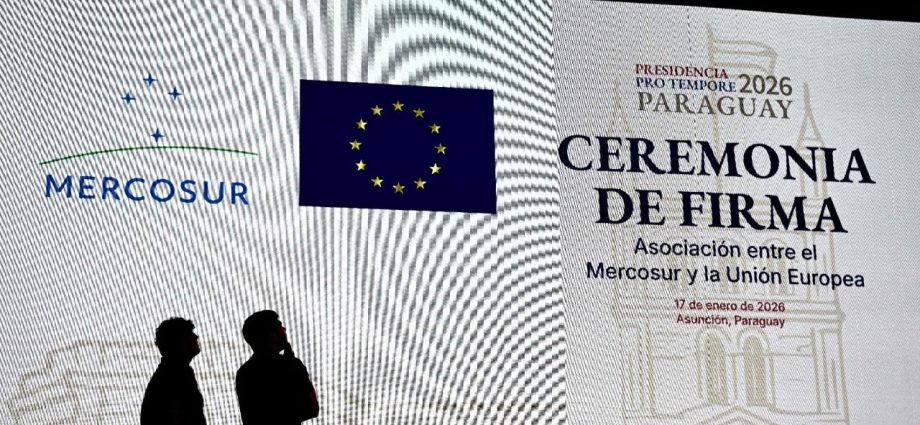 MERCOSUL: OPORTUNIDADES E DESAFIOS NO MERCADO GLOBAL