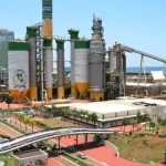 COTACAO DA CELOULOSE: IMPACTOS E OPORTUNIDADES