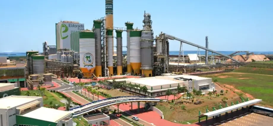 COTACAO DA CELOULOSE: IMPACTOS E OPORTUNIDADES