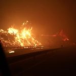 INCÊNDIOS NO CHILE: ESTADO DE CATÁSTROFE DECLARADO