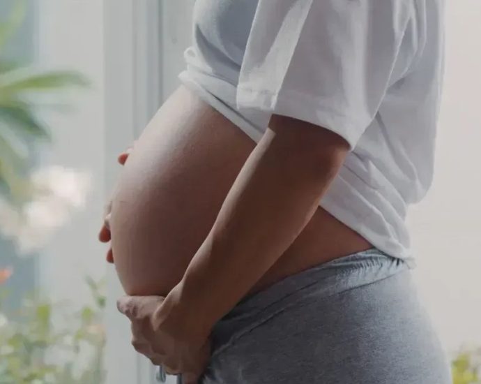 GESTAÇÃO TRANS: ACESSO À SAÚDE REPRODUTIVA EM DEBATE