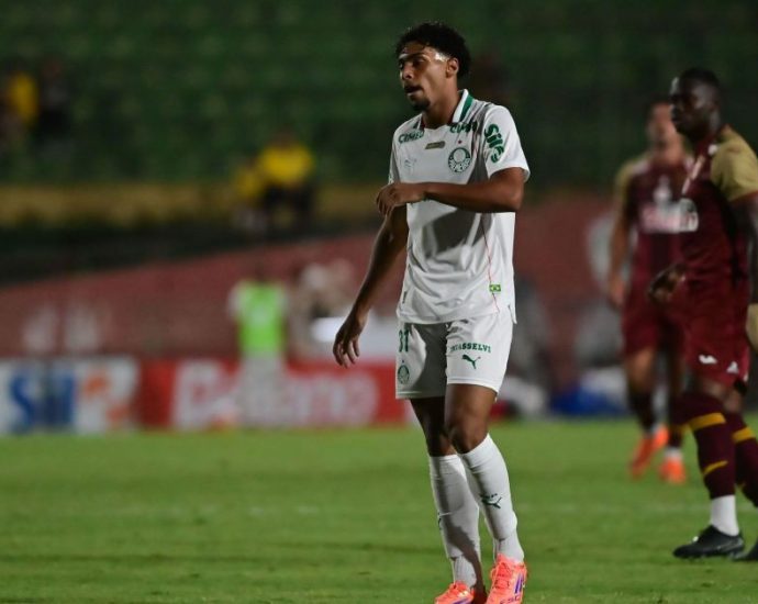 PALMEIRAS VENCE PORTUGUESA E COMEÇA BEM O PAULISTÃO