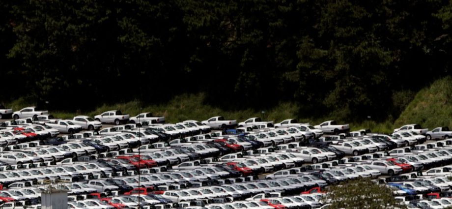 PREÇOS AO PRODUTOR NO BRASIL: ENTENDA A QUEDA