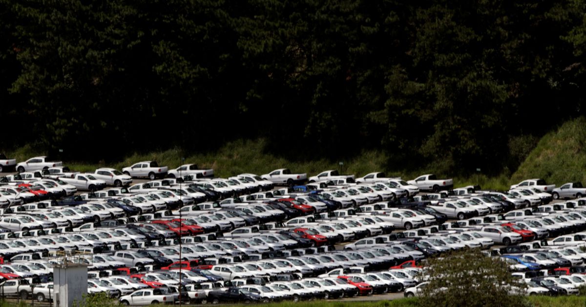 PREÇOS AO PRODUTOR NO BRASIL: ENTENDA A QUEDA