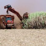 VENDA DA USINA ANDRADE: IMPACTOS NO SETOR SUCROALCOOLEIRO