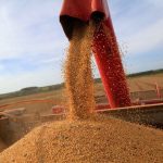 EXPORTAÇÕES DO BRASIL PARA A UE: 73% EM 5 DESTINOS