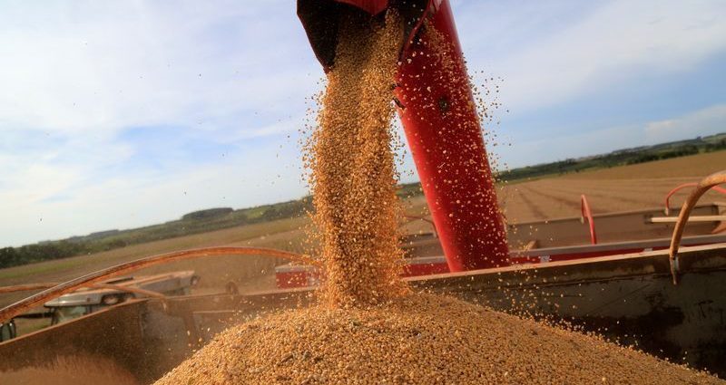 EXPORTAÇÕES DO BRASIL PARA A UE: 73% EM 5 DESTINOS