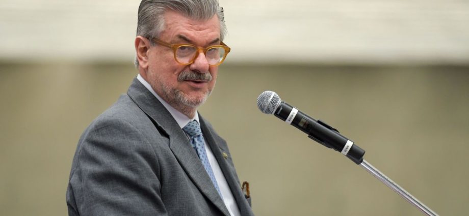 IMPORTUNAÇÃO SEXUAL: DIFERENÇA E CONSEQUÊNCIAS