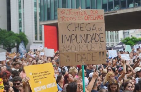JUSTIÇA PARA O CÃO ORELHA: MANIFESTAÇÕES NO BRASIL