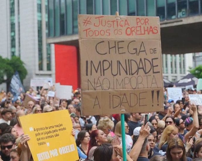 JUSTIÇA PARA O CÃO ORELHA: MANIFESTAÇÕES NO BRASIL