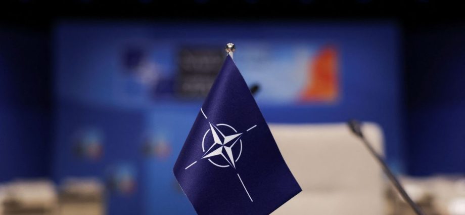 OTAN REFORÇA PRESENÇA NO ÁRTICO COM NOVA MISSÃO