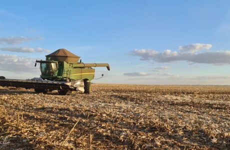 ETANOL DE MILHO: 10 BILHÕES DE LITROS NO BRASIL