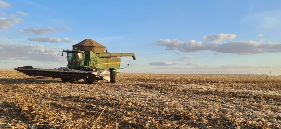 ETANOL DE MILHO: 10 BILHÕES DE LITROS NO BRASIL