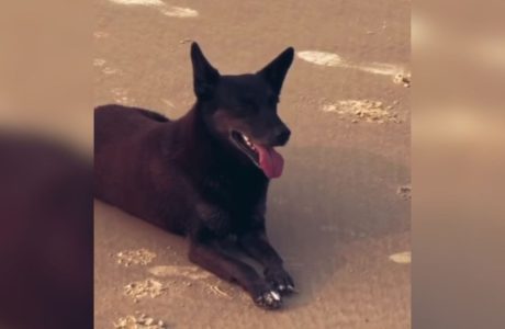 APREENSÃO DE PASSAPORTE: GARANTIA DE JUSTIÇA