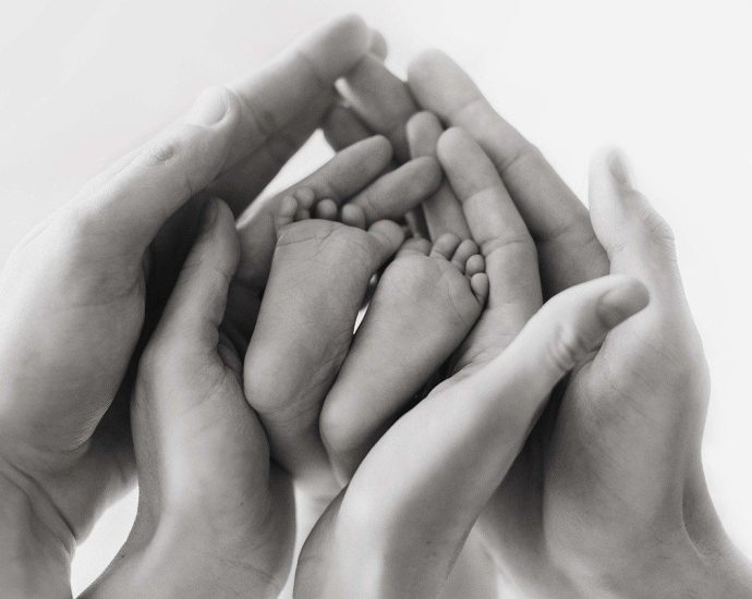 CULTURA DA VIDA: FUNDAMENTOS BIOLÓGICOS E TEOLÓGICOS