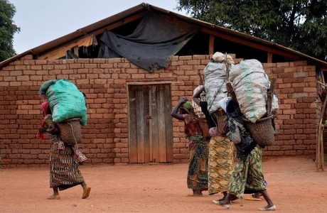 MASSACRE NO KIVU DO NORTE: A CRISE HUMANITÁRIA EM Foco