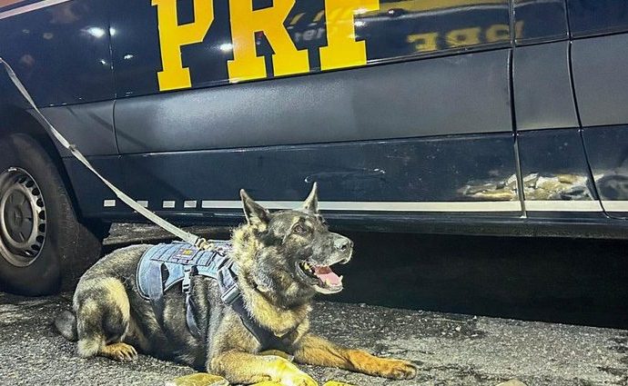 PRF: APELAÇÕES E APREENSÕES NO PAÍS EM 24 HORAS