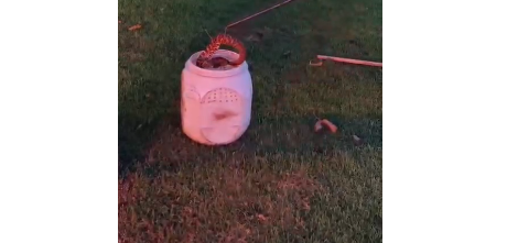 CASCAVEL: POLÍCIA AMBIENTAL CAPTURA SERPENTE EM UEMS