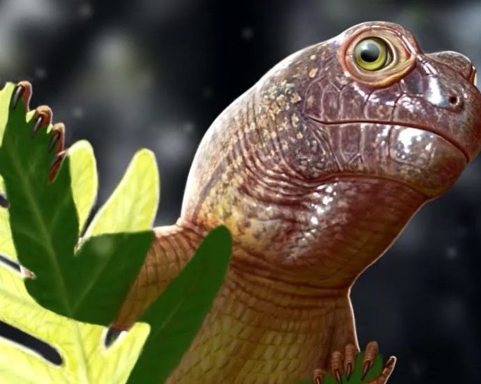 FÓSSIL DE PARARRÉPTIL REVELA SEGREDOS DO ECOSSISTEMA