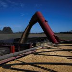 SAFRA DO PARAGUAI: EXPECTATIVA DE RECORDES EM 2025/26